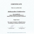 Powiększ obraz: certificate 3