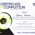 Powiększ obraz: certificate 6