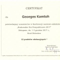 Powiększ obraz: certificate 14