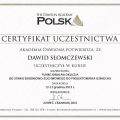 Powiększ obraz: certificate 8