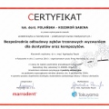 Powiększ obraz: certificate 5