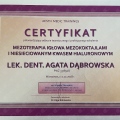 Powiększ obraz: certificate 11