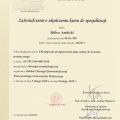 Powiększ obraz: certificate 4