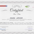 Powiększ obraz: certificate 9