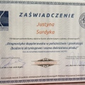 Powiększ obraz: certificate 4