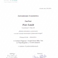 Powiększ obraz: certificate 4
