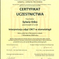 Powiększ obraz: certificate 4