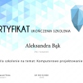 Powiększ obraz: certificate 11