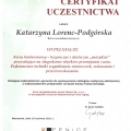 Powiększ obraz: certificate 27
