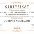 Powiększ obraz: certificate 7