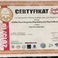 Powiększ obraz: certificate 1