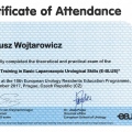 Powiększ obraz: certificate 3