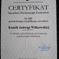 Powiększ obraz: certificate 3