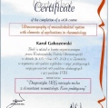Powiększ obraz: certificate 2