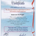 Powiększ obraz: certificate 1