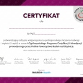 Powiększ obraz: certificate 9