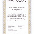 Powiększ obraz: certificate 4