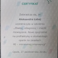 Powiększ obraz: certificate 2