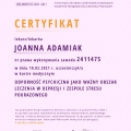 Powiększ obraz: certificate 5