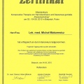 Powiększ obraz: certificate 13