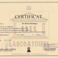 Powiększ obraz: certificate 8
