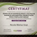 Powiększ obraz: certificate 11