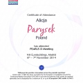 Powiększ obraz: certificate 20