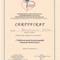 Powiększ obraz: certificate 20