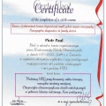 Powiększ obraz: certificate 21