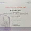 Powiększ obraz: certificate 8