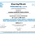 Powiększ obraz: certificate 8