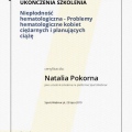 Powiększ obraz: certificate 8