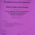 Powiększ obraz: certificate 8