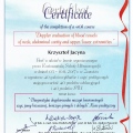 Powiększ obraz: certificate 5