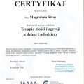 Powiększ obraz: certificate 1