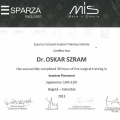 Powiększ obraz: certificate 3
