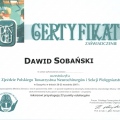 Powiększ obraz: certificate 2