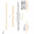 Powiększ obraz: certificate 6