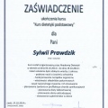 Powiększ obraz: certificate 24
