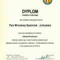 Powiększ obraz: certificate 8