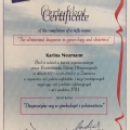 Powiększ obraz: certificate 2