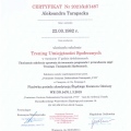 Powiększ obraz: certificate 5