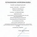 Powiększ obraz: certificate 16