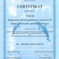 Powiększ obraz: certificate 4