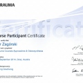 Powiększ obraz: certificate 9