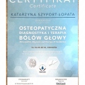 Powiększ obraz: certificate 4