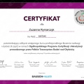 Powiększ obraz: certificate 1