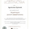 Powiększ obraz: certificate 5