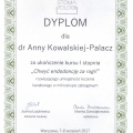 Powiększ obraz: certificate 19