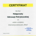 Powiększ obraz: certificate 2